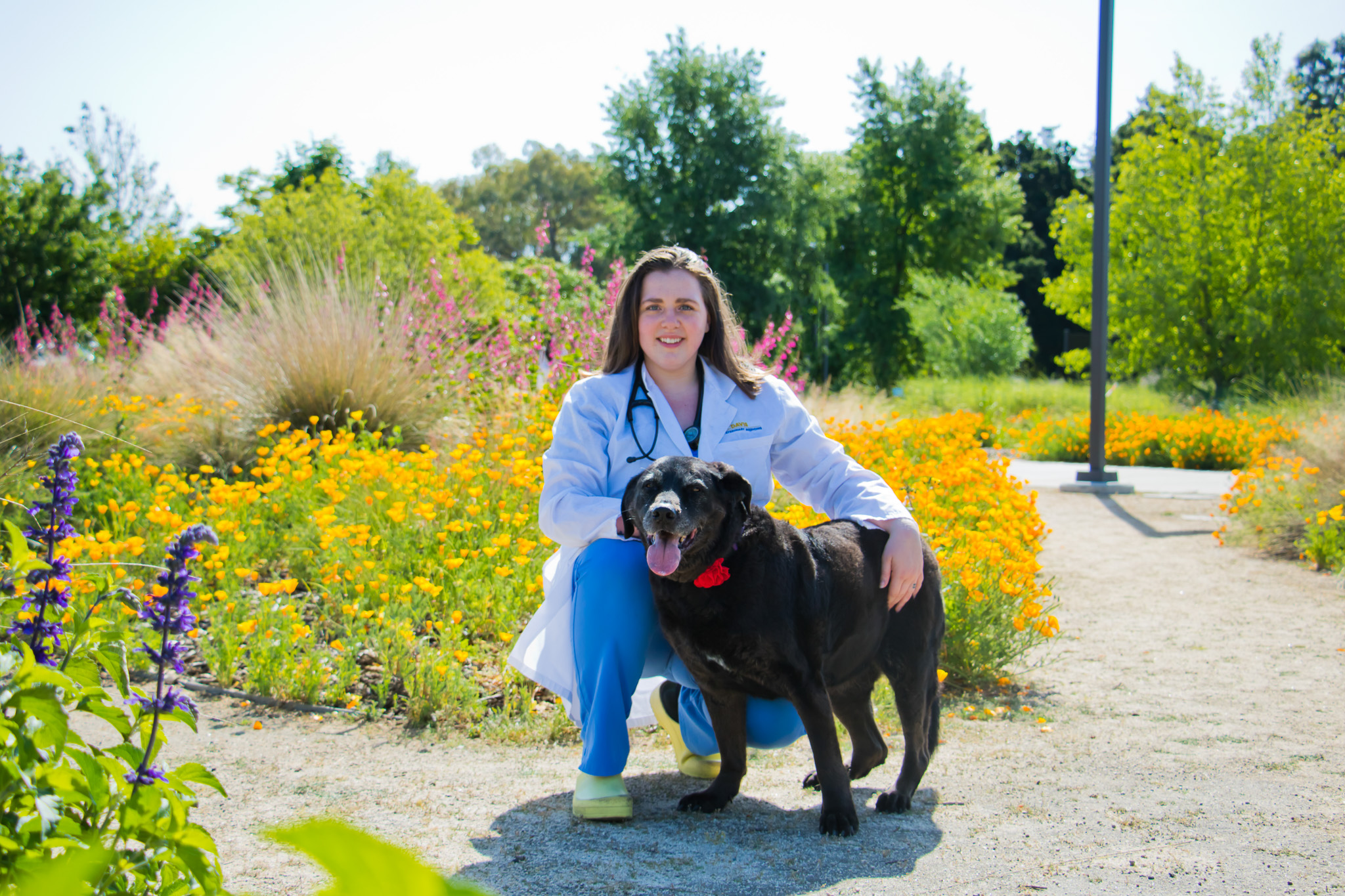 Lauren Watson smiles for the camera, wearing a white lab coat and blue scrubs. She has her arm over a large black dog with its tongue hanging out.